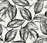 Seabrook Designs SC20000 Wallpaper - Eade's Wallpaper & Fabric