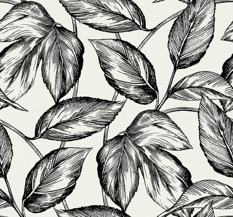 Seabrook Designs SC20000 Wallpaper - Eade's Wallpaper & Fabric