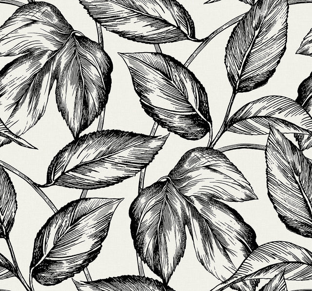 Seabrook Designs SC20000 Wallpaper - Eade's Wallpaper & Fabric