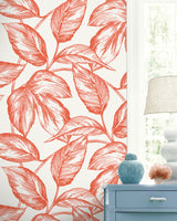 Seabrook Designs SC20001 Wallpaper - Eade's Wallpaper & Fabric
