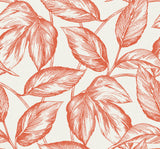 Seabrook Designs SC20001 Wallpaper - Eade's Wallpaper & Fabric