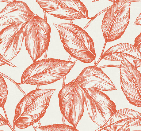 Seabrook Designs SC20001 Wallpaper - Eade's Wallpaper & Fabric