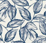 Seabrook Designs SC20002 Wallpaper - Eade's Wallpaper & Fabric