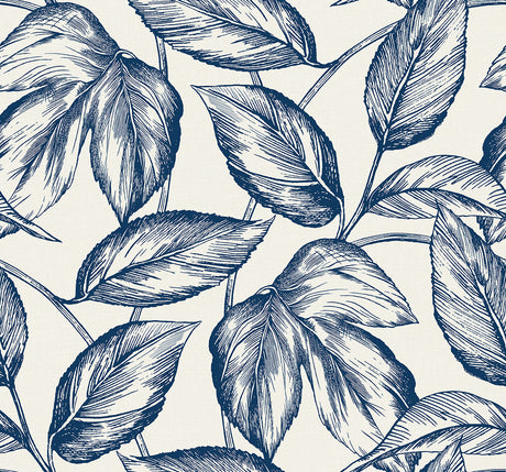 Seabrook Designs SC20002 Wallpaper - Eade's Wallpaper & Fabric