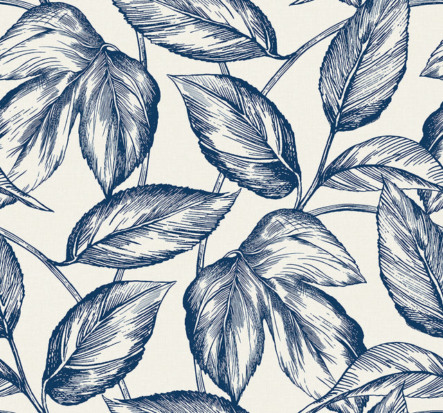 Seabrook Designs SC20002 Wallpaper - Eade's Wallpaper & Fabric