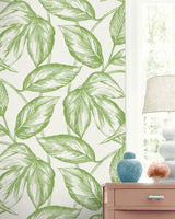 Seabrook Designs SC20004 Wallpaper - Eade's Wallpaper & Fabric