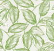 Seabrook Designs SC20004 Wallpaper - Eade's Wallpaper & Fabric