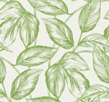 Seabrook Designs SC20004 Wallpaper - Eade's Wallpaper & Fabric