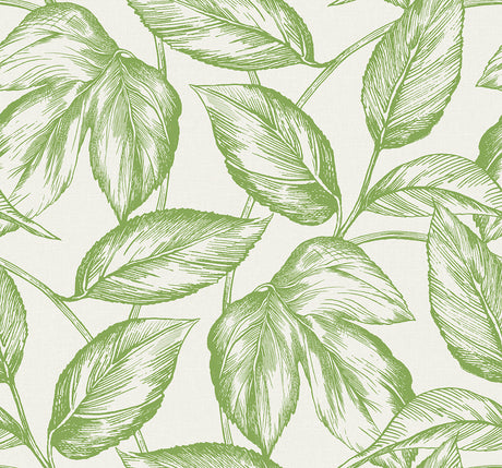 Seabrook Designs SC20004 Wallpaper - Eade's Wallpaper & Fabric
