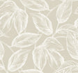 Seabrook Designs SC20005 Wallpaper - Eade's Wallpaper & Fabric
