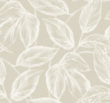 Seabrook Designs SC20005 Wallpaper - Eade's Wallpaper & Fabric