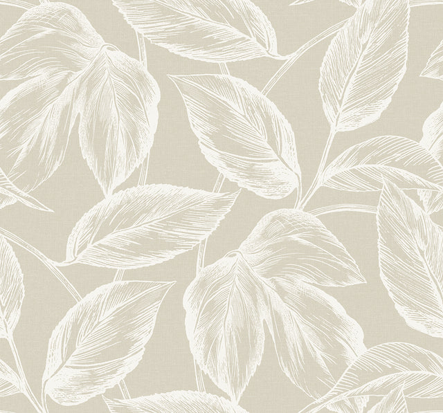 Seabrook Designs SC20005 Wallpaper - Eade's Wallpaper & Fabric