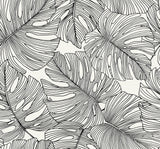 Seabrook Designs SC20200 Wallpaper - Eade's Wallpaper & Fabric