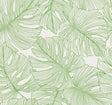 Seabrook Designs SC20204 Wallpaper - Eade's Wallpaper & Fabric