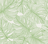 Seabrook Designs SC20204 Wallpaper - Eade's Wallpaper & Fabric