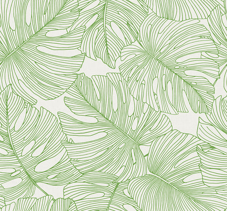 Seabrook Designs SC20204 Wallpaper - Eade's Wallpaper & Fabric