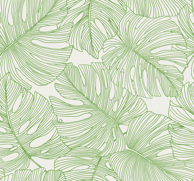 Seabrook Designs SC20204 Wallpaper - Eade's Wallpaper & Fabric