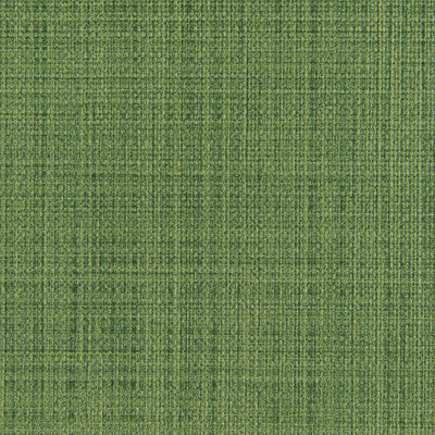 KRAVET CONTRACT SCRIMSHAW.3.0 SCRIMSHAW CACTUS Fabric - EXTREME PERFORMANCE II