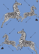 Scalamandre SCS6053 Azure Zebra Safari Peel & Stick Wallpaper