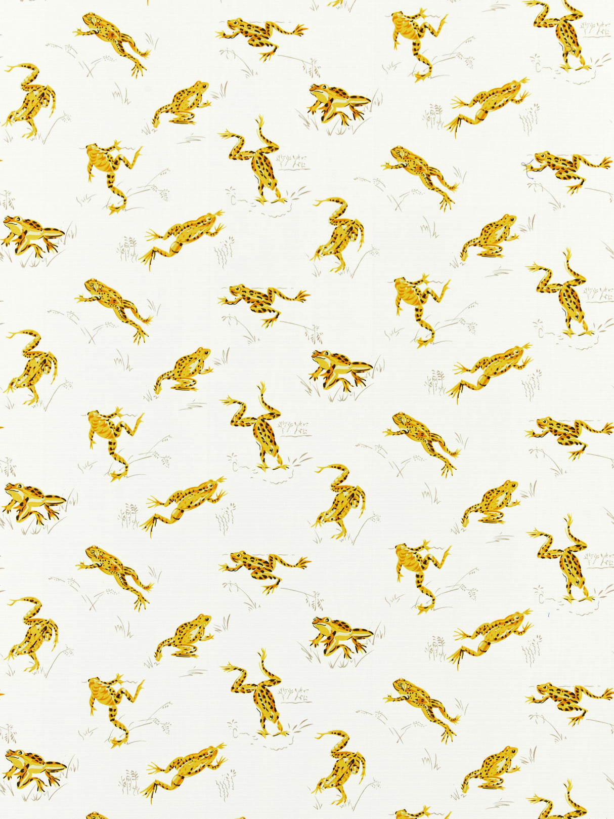 Scalamandre SC 000116426M PINEAPPLE CALABASAS COUNTY - OUTDOOR Fabric - Eade's Wallpaper