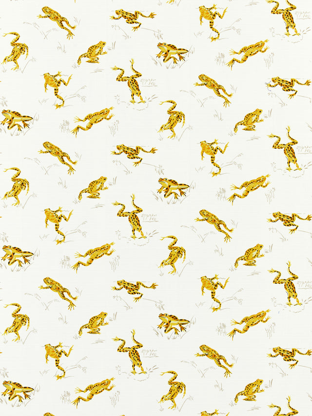 Scalamandre SC 000116426M PINEAPPLE CALABASAS COUNTY - OUTDOOR Fabric - Eade's Wallpaper