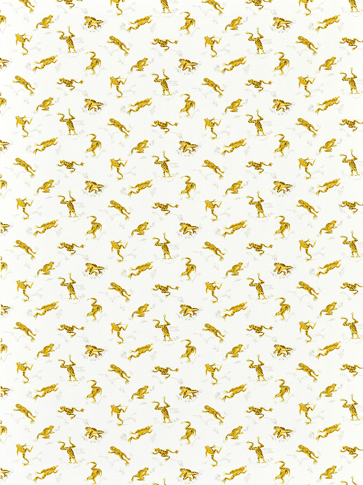 Scalamandre SC 000116426M PINEAPPLE CALABASAS COUNTY - OUTDOOR Fabric - Eade's Wallpaper