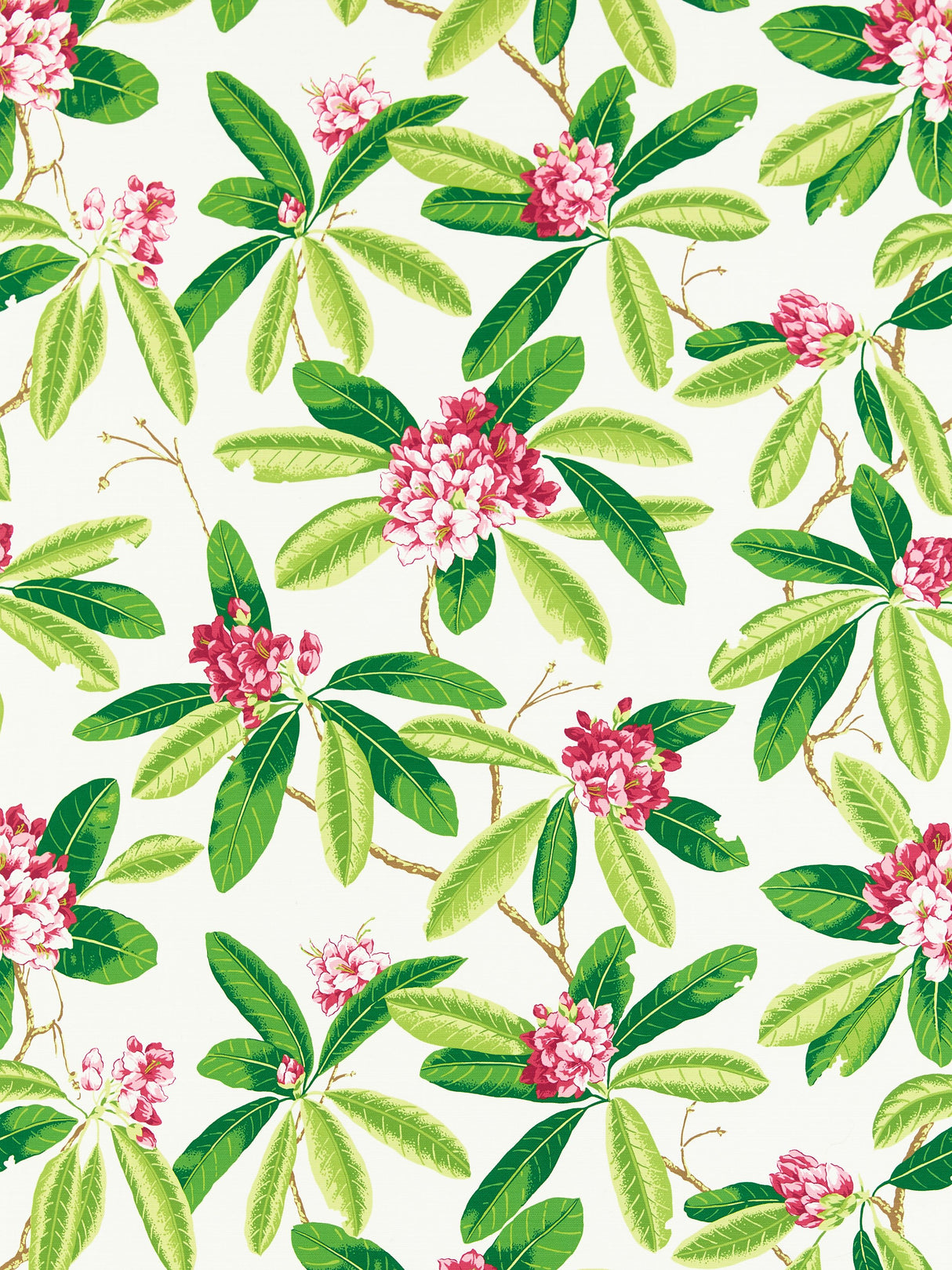 Scalamandre SC 000116454M FUSCHIA RHODODENDRON - OUTDOOR Fabric - Eade's Wallpaper