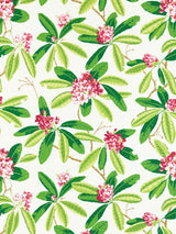 Scalamandre SC 000116454M FUSCHIA RHODODENDRON - OUTDOOR Fabric - Eade's Wallpaper