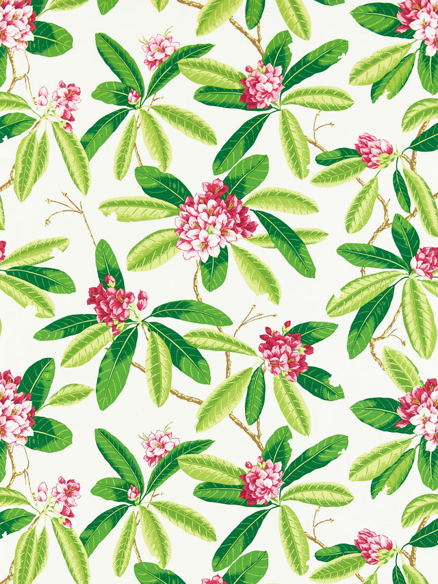 Scalamandre SC 000116454M FUSCHIA RHODODENDRON - OUTDOOR Fabric - Eade's Wallpaper