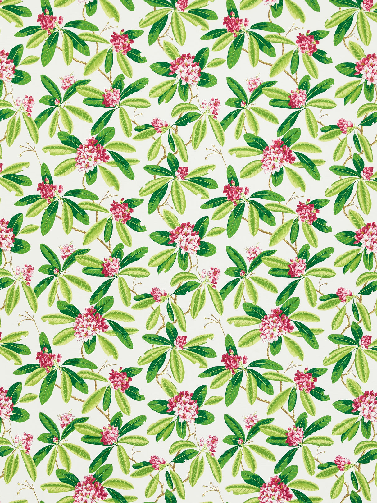 Scalamandre SC 000116454M FUSCHIA RHODODENDRON - OUTDOOR Fabric - Eade's Wallpaper