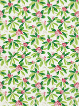 Scalamandre SC 000116454M FUSCHIA RHODODENDRON - OUTDOOR Fabric - Eade's Wallpaper