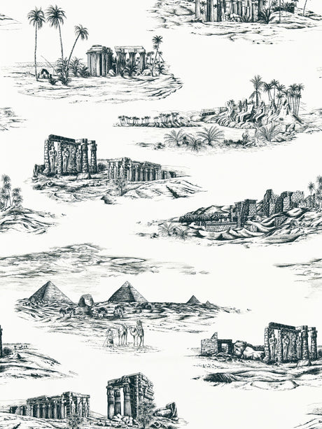 Scalamandre SC 000116635 INK CAIRO TOILE Fabric - Eade's Wallpaper