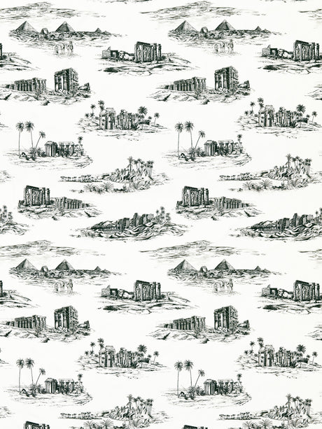 Scalamandre SC 000116635 INK CAIRO TOILE Fabric - Eade's Wallpaper