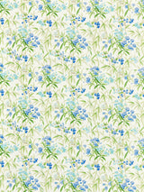 Scalamandre SC 000116638 LAGOON LANAI - OUTDOOR Fabric - Eade's Wallpaper