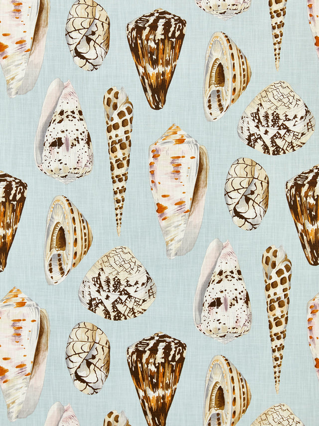 Scalamandre SC 000116639 MULTI ON SEA BLUE COQUINA - OUTDOOR Fabric - Eade's Wallpaper