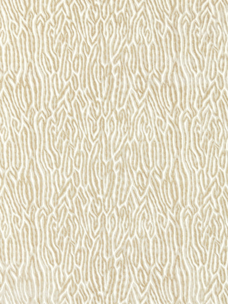Scalamandre SC 000127076 FOG FAUX BOIS VELVET Fabric - Eade's Wallpaper