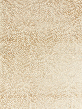 Scalamandre SC 000127077 PEBBLE BEACH CORALLINA VELVET Fabric - Eade's Wallpaper