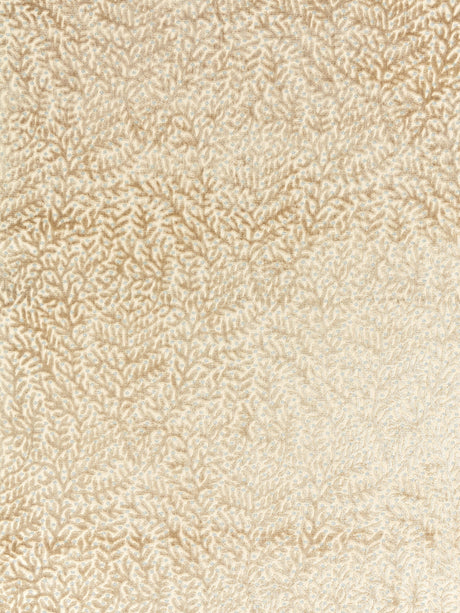 Scalamandre SC 000127077 PEBBLE BEACH CORALLINA VELVET Fabric - Eade's Wallpaper