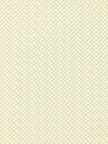 Scalamandre SC 000127102 CELADON MANDARIN WEAVE Fabric - Eade's Wallpaper