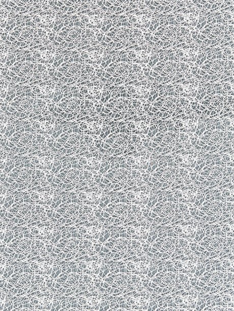 Scalamandre SC 000127146 SNOW MODERN LACE Fabric - Eade's Wallpaper