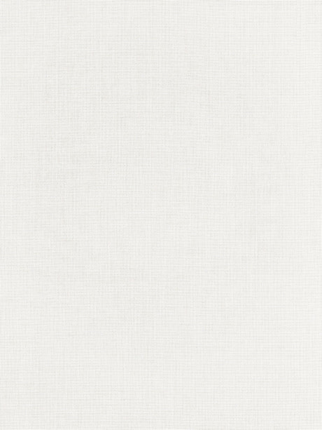 Scalamandre SC 000127201 WHELK ARUBA SHEER Fabric - Eade's Wallpaper