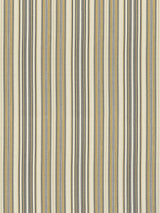 Scalamandre SC 000127253 DESERT NILE STRIPE Fabric - Eade's Wallpaper