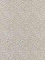 Scalamandre SC 000127316 LIMESTONE BACKYARD BENGAL Fabric - Eade's Wallpaper