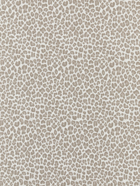 Scalamandre SC 000127316 LIMESTONE BACKYARD BENGAL Fabric - Eade's Wallpaper