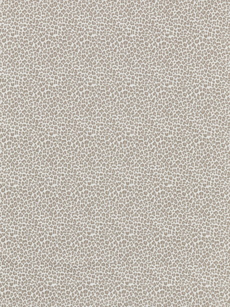 Scalamandre SC 000127316 LIMESTONE BACKYARD BENGAL Fabric - Eade's Wallpaper