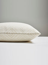Scalamandre SC 0001ANTGPILL ANTIGUA WEAVE OUTDOOR PILLOW - P