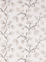 Scalamandre SC 0001WP88593D SNOW PIGNOLI WALLPAPER - Eade's Wallpaper