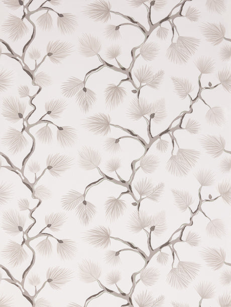 Scalamandre SC 0001WP88593D SNOW PIGNOLI WALLPAPER - Eade's Wallpaper