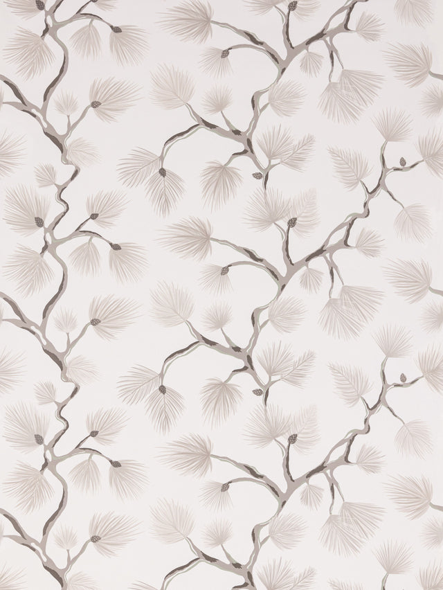 Scalamandre SC 0001WP88593D SNOW PIGNOLI WALLPAPER - Eade's Wallpaper