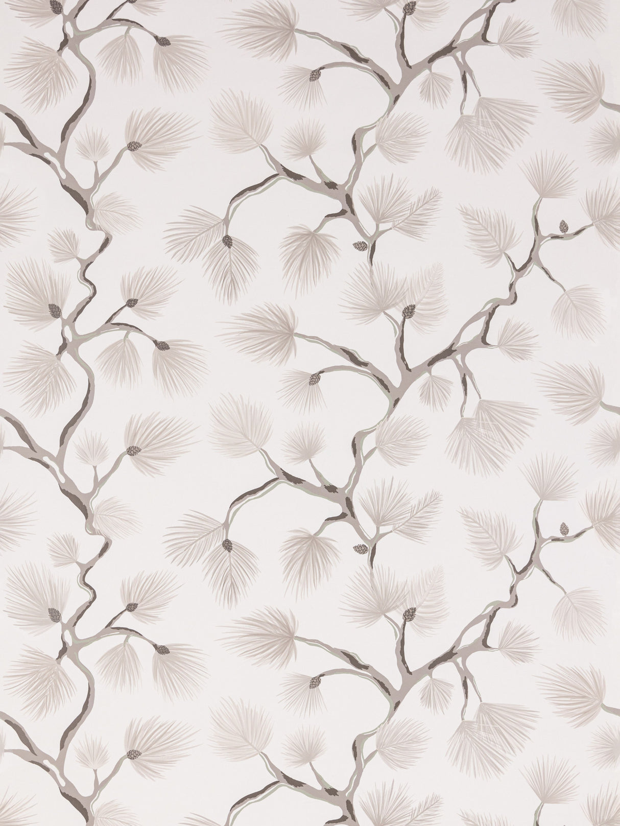 Scalamandre SC 0001WP88593D SNOW PIGNOLI WALLPAPER - Eade's Wallpaper